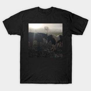 Horses on the common T-Shirt